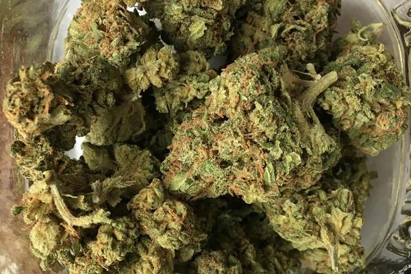 Durban Poison Durban Poison