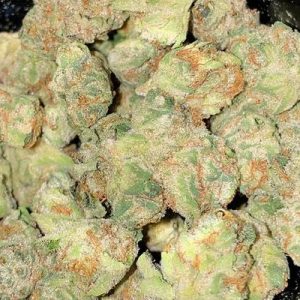 Girl Scout Cookies (GSC)