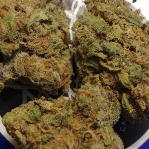 Granddaddy Purple
