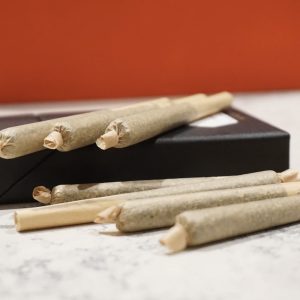 Northern Lights Pre-Roll