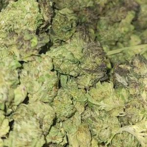 Purple Kush