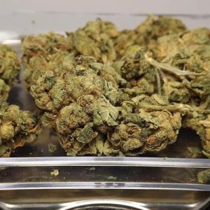 Super Lemon Haze